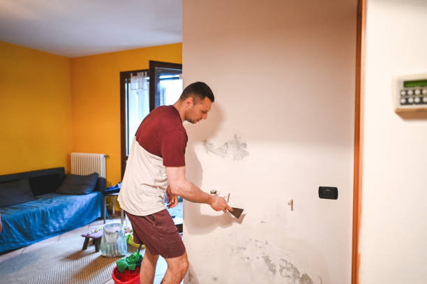Best Attic Mold Removal  in Otterbe, IN
